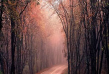 征途国际官网：切尔西7400万欧签两人喜获官方宣布 抢下曼联必争之人.