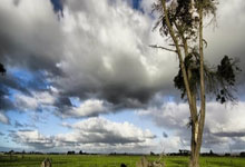 巴塞晋级西班牙超级杯决赛 奥尔默和维克托获注册可出赛.