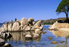 征途国际官网：热搜第一！她突然宣布退赛.